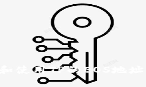 如何获取和使用TP的EOS地址：全面指南